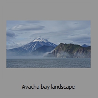 Avacha bay landscape